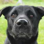 Ersteller:in Jasmin Profilbild