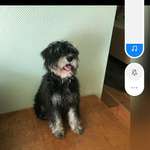 Ersteller:in Lea Profilbild