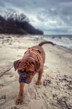 Urlaub in Dänemark-Beitrag-Bild