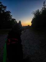 Hundeauslaufgebiet-Schöner Sandweg-Bild