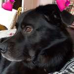 Ersteller:in Susanne Profilbild