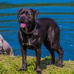 Ersteller:in first Profilbild