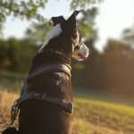 Ersteller:in Ti Profilbild