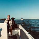 Ersteller:in Daniel Profilbild