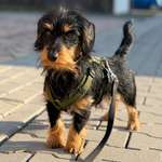 Ersteller:in Doreen Profilbild