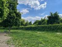 Hundeauslaufgebiet-Hundezone Friedhof-Bild