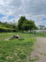 Hundeauslaufgebiet-Hundezone Friedhof-Bild