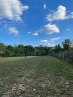 Hundeauslaufgebiet-Biedermannsdorf (Nähe Hubertuskapelle/Mühlengasse/Pfadfinderhaus)-Bild