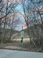 Hundeauslaufgebiet-Salonwiese (bei Meiereiwiese/-gasse)-Bild