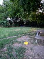 Hundeauslaufgebiet-Campus 21-Bild