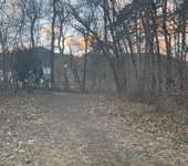 Hundeauslaufgebiet-Salonwiese (bei Meiereiwiese/-gasse)-Bild