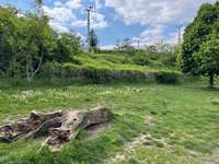 Hundeauslaufgebiet-Hundezone Friedhof-Bild