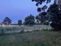 Hundeauslaufgebiet-Campus 21-Bild