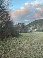 Hundeauslaufgebiet-Salonwiese (bei Meiereiwiese/-gasse)-Bild