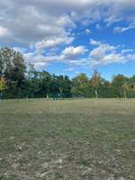 Hundeauslaufgebiet-Biedermannsdorf (Nähe Hubertuskapelle/Mühlengasse/Pfadfinderhaus)-Bild