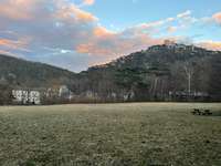 Hundeauslaufgebiet-Salonwiese (bei Meiereiwiese/-gasse)-Bild