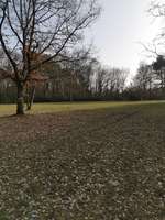 Hundeauslaufgebiet-Frauenland II-Bild