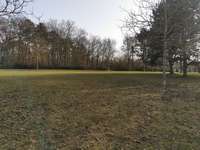 Hundeauslaufgebiet-Frauenland II-Bild