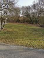 Hundeauslaufgebiet-Frauenland II-Bild