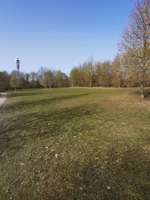 Hundeauslaufgebiet-Oberdürrbacher Str-Bild