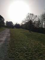 Hundeauslaufgebiet-Frauenland II-Bild