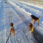 Ersteller:in Andrea Profilbild