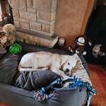 Ersteller:in Thomas Profilbild