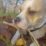 Ersteller:in Steffi Profilbild