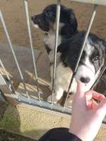 ich suche einen namen!🙈🆘-Beitrag-Bild