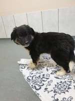 ich suche einen namen!🙈🆘-Beitrag-Bild