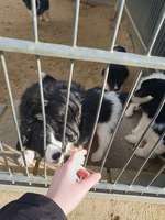 ich suche einen namen!🙈🆘-Beitrag-Bild