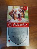 Advantix 10-25 kg (Spot -on) #Reserviert#-Beitrag-Bild