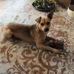 Ersteller:in Isabelle Profilbild