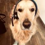 Ersteller:in Katharina Profilbild