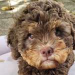 Ersteller:in Ulrike Profilbild