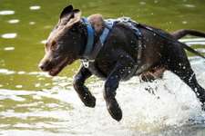 Foto Wettbewerb-Beitrag-Bild