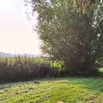 Ersteller:in Tanja Profilbild