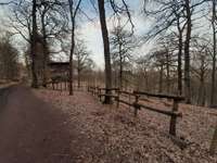 Hundeauslaufgebiet-Panzerwiese-Bild