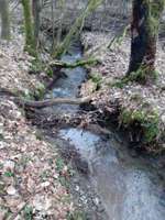 Hundeauslaufgebiet-Panzerwiese-Bild