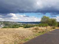 Hundeauslaufgebiet-Panzerwiese-Bild