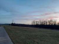 Hundeauslaufgebiet-Panzerwiese-Bild