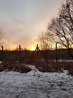 Hundeauslaufgebiet-Panzerwiese-Bild