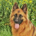 Ersteller:in Regina Profilbild