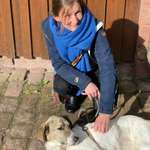 Ersteller:in Struwel Profilbild