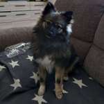 Ersteller:in Genia Profilbild