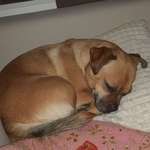 Ersteller:in Dalina Profilbild