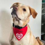 Ersteller:in Manuela Profilbild