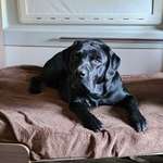 Ersteller:in O. Profilbild