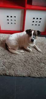 Alzheimer bzw. Demenz-Beitrag-Bild