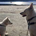 Ersteller:in Nadine Profilbild